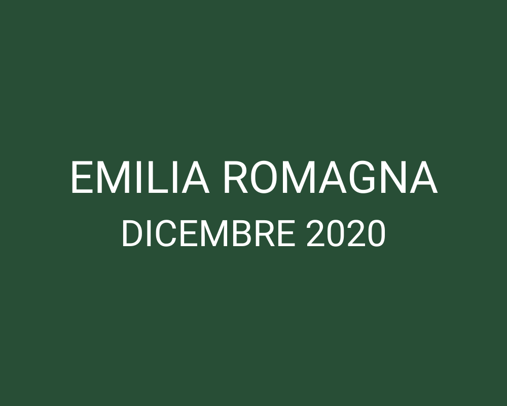 Emergenza Emilia Romagna 2020