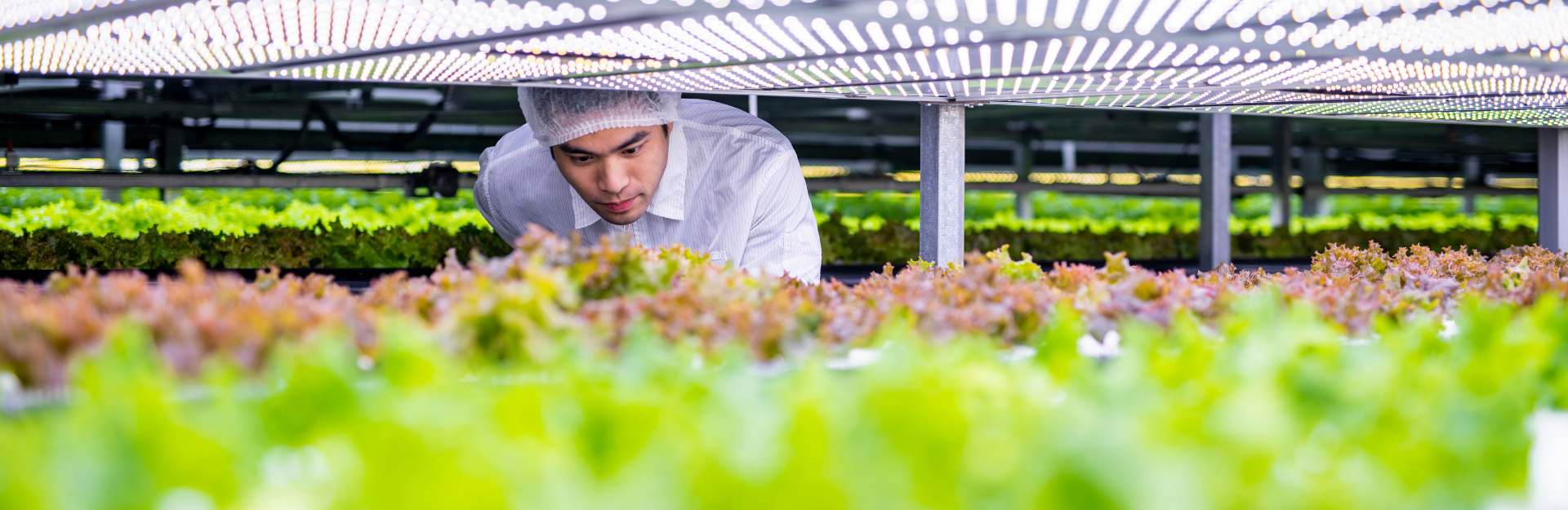 Uomo che fa un conctrollo qualità su del cibo