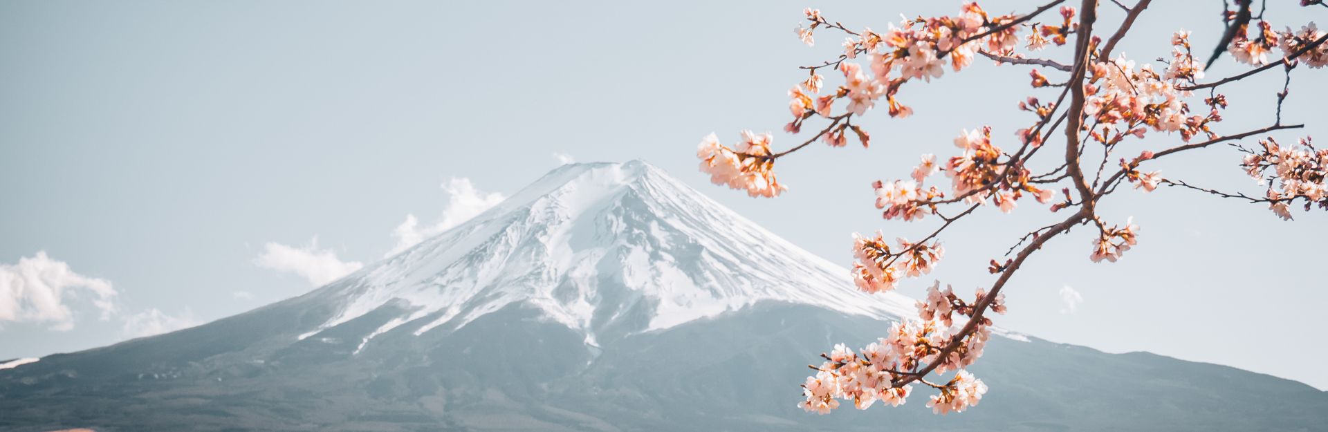 Monte Fuji e peschi in fiore