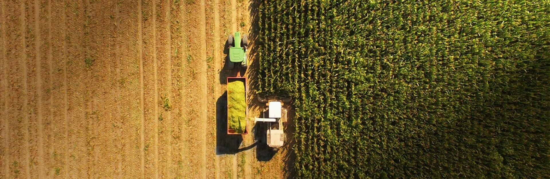macchine agricole in azione su campo coltivato