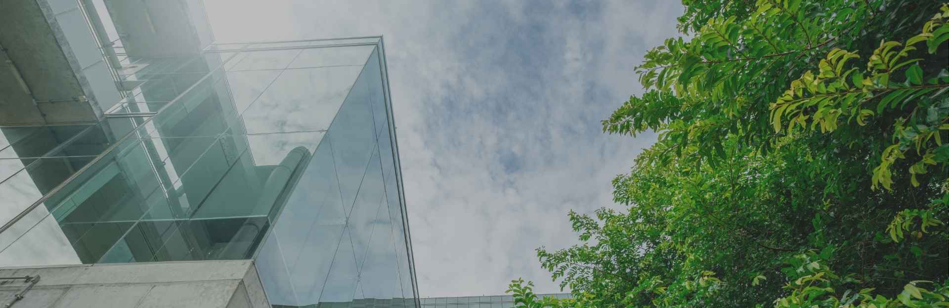 IMG NEWSLETTER desktop (1920 x 625 px) - casegreenbanner-desktop