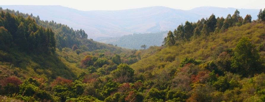 Uomo e donna di 50 anni che ridono guardando il computer