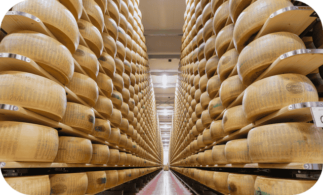 Forme di parmigiano conservate nelle sale di stagionatura dei Magazzini generali delle Tagliate.