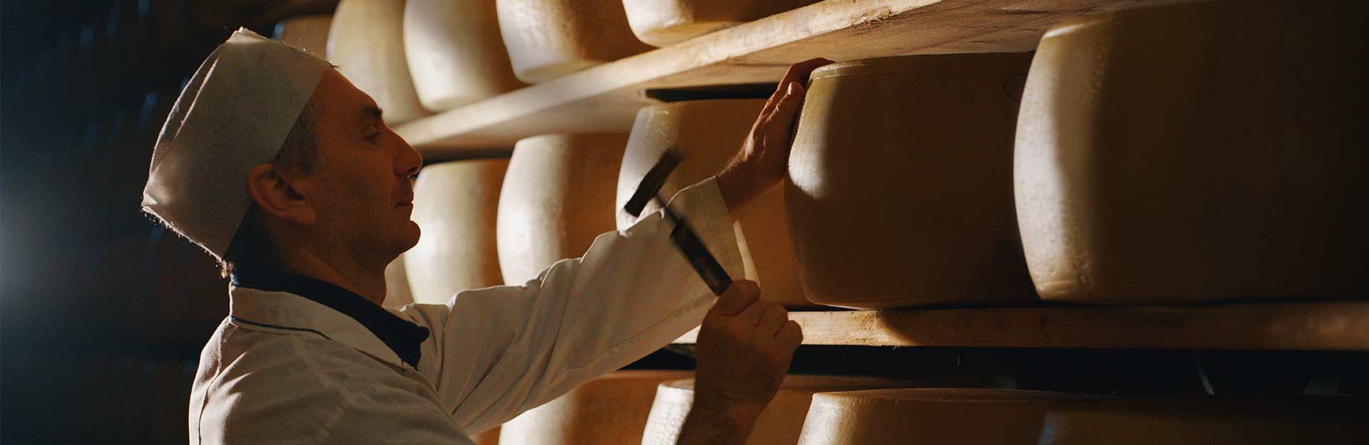 bannerservizimgtdesktop - 1